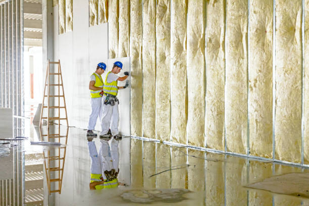 Best Commercial Insulation in Pike Road, AL